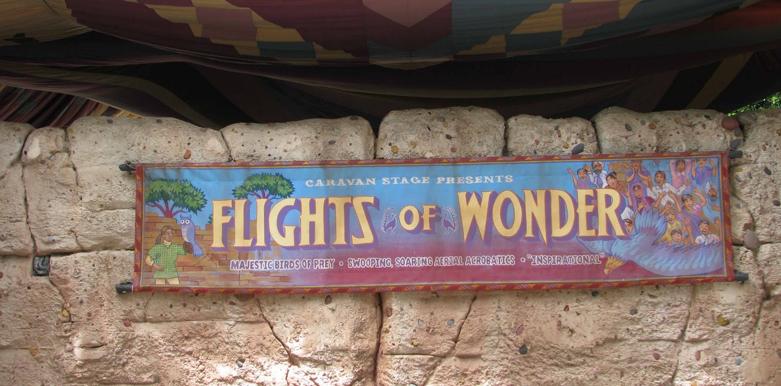 Flights_ Of_ Wonder