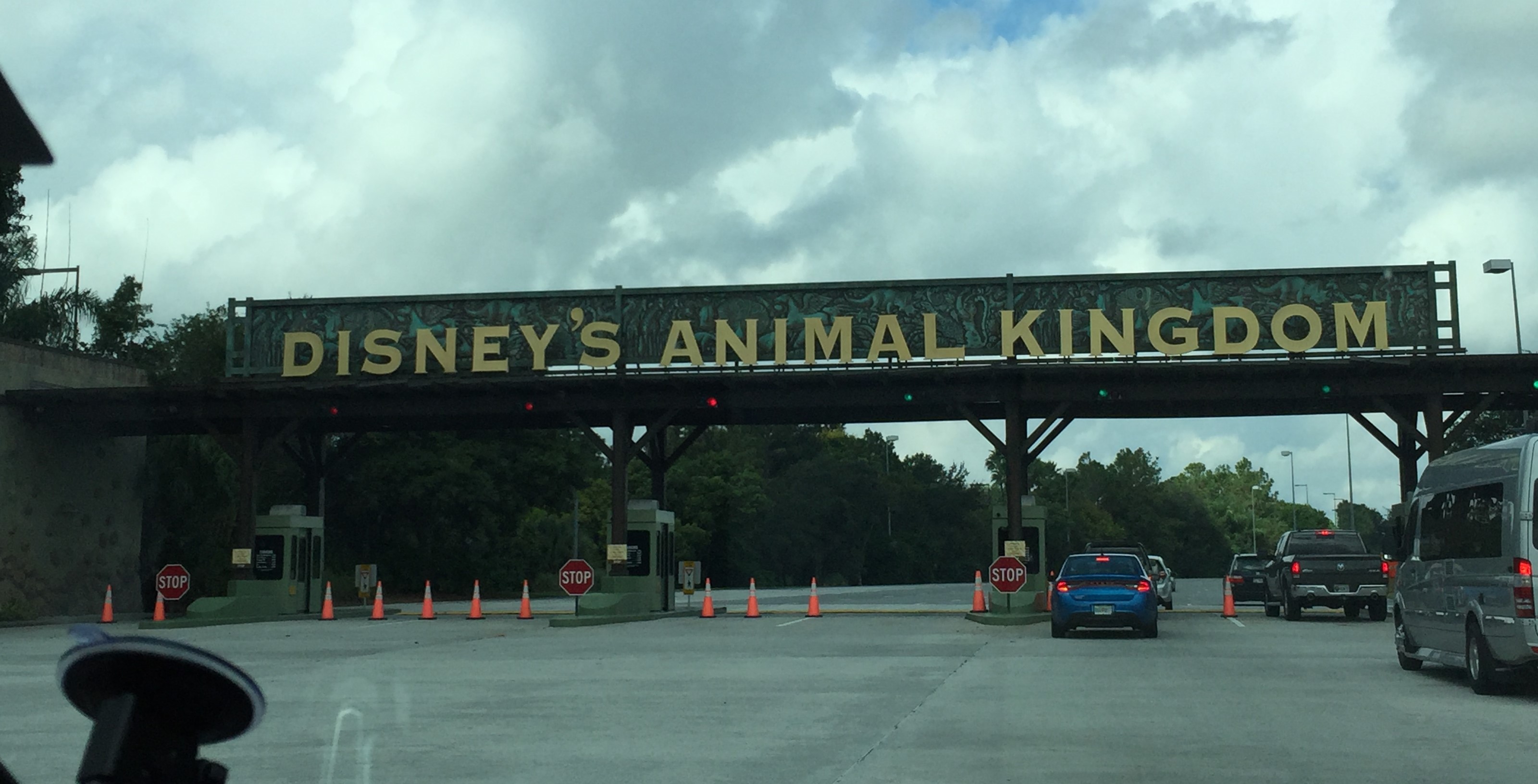 disney_animal_kingdom