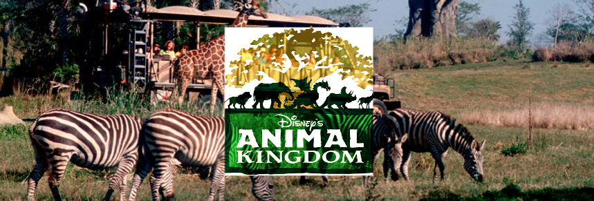 Disney Animal Kingdom: Atrações do Parque